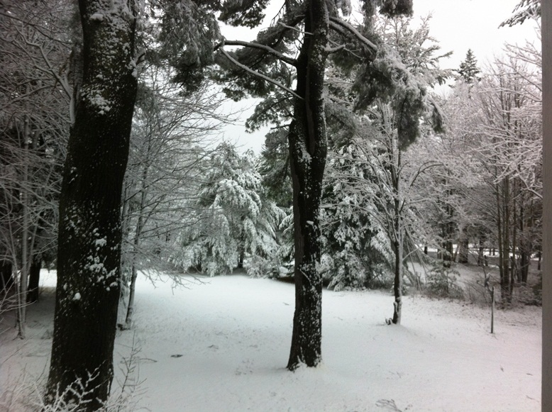 April 2013, Huntsville:  Fresh Snowfall, Winter Tired Fortunately Still on, Hot Tub-ing makes sense to me